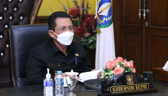 Webinar Kejar Prestasi Anak Indonesia, Gubernur Ansar : Tumbuhkan Budaya Menabung Sejak Dini