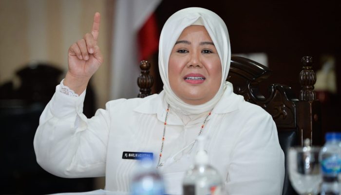Usai Dampingi Jokowi, Ini Pesan Wagub Marlin Untuk Milenial