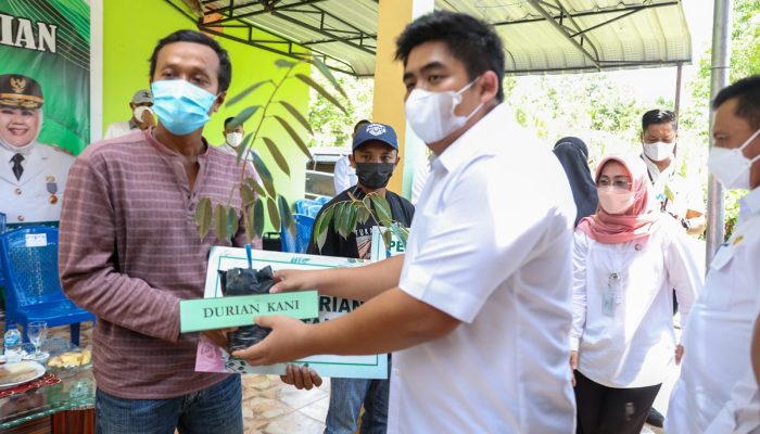 Kelompok Tani Terima Bibit Durian, Gubernur Kepri: Sektor Pertanian Penyangga Perekonomian Kepri