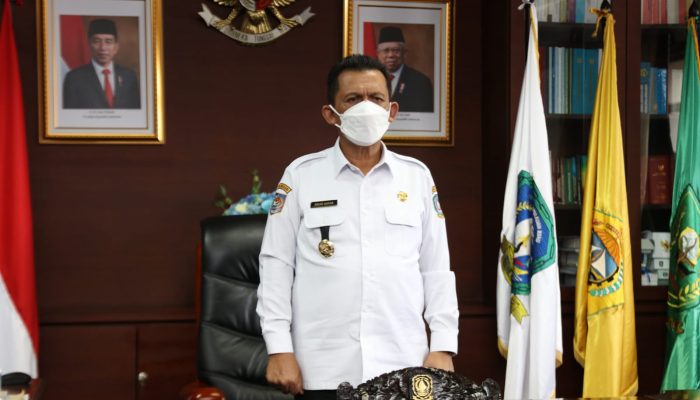 Seminar BBS 2021, Gubernur Kepri :  Berbahasa Dengan Baik Bagian Dari Memartabatkan  Bangsa