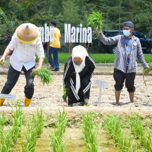 Bangun Ketahanan Pangan, Wagub Kepri dan Ekspatriat Menanam Padi
