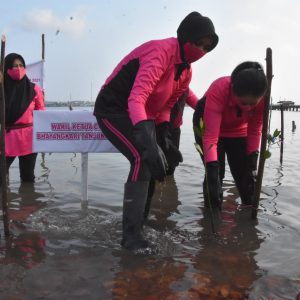 Jelang HUT HKGB Ke-69, Bhayangkari Tanjungpinang Tanam Bibit Mangrove