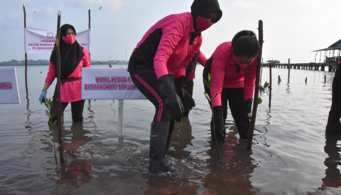 Jelang HUT HKGB Ke-69, Bhayangkari Tanjungpinang Tanam Bibit Mangrove
