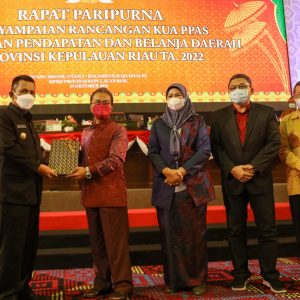 KUA-PPAS Kepri TA 2022, Pendapatan Daerah Provinsi Kepri Diproyeksikan Rp3.412 Triliun