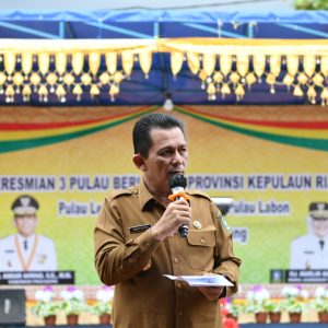 Gubernur Kepri Resmikan Pengoperasian Genset Dan Jaringan Listrik Tiga Pulau di Batam
