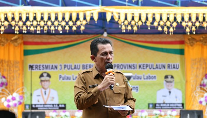 Gubernur Kepri Resmikan Pengoperasian Genset Dan Jaringan Listrik Tiga Pulau di Batam