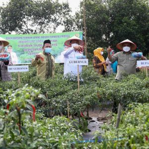 Gubernur Ingin Kundur Menjadi Lumbung Pertanian Kepri