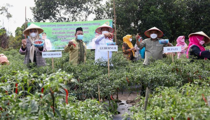 Gubernur Ingin Kundur Menjadi Lumbung Pertanian Kepri
