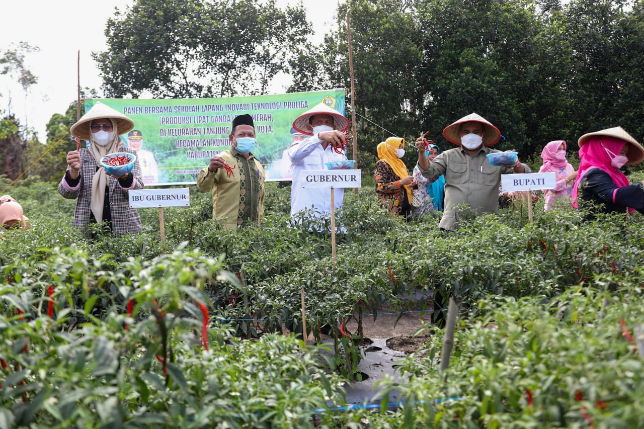Gubernur Ingin Kundur Menjadi Lumbung Pertanian Kepri