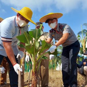 Numbing Desa Terbersih, Diharapkan Jadi Sentral Penghasil Pisang di Bintan