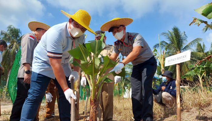 Numbing Desa Terbersih, Diharapkan Jadi Sentral Penghasil Pisang di Bintan
