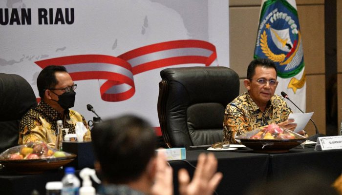 Mendagri Sebut Pemprov Kepri Berhasil Meredam Pandemi Covid-19