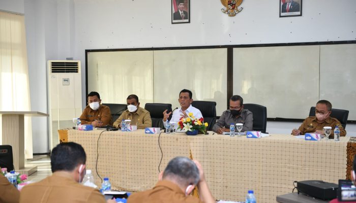 Rapat Bersama BP Karimun, Gubernur Kepri Tekankan Integrasi FTZ BBK