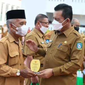 Gubernur Ansar Lepas 12 PNS Memasuki Batas Usia Pensiun