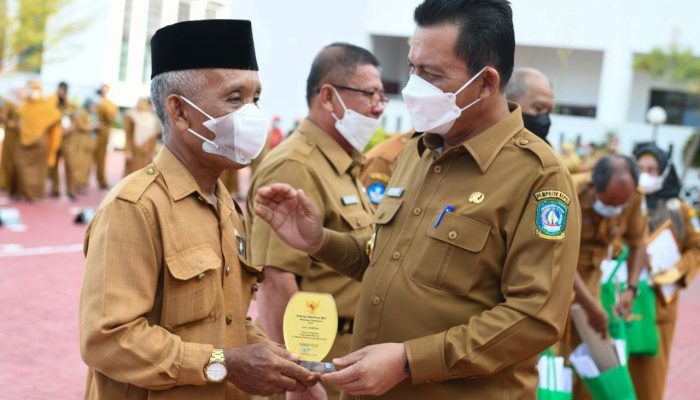 Gubernur Ansar Lepas 12 PNS Memasuki Batas Usia Pensiun