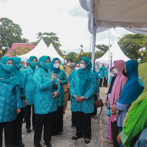 Ketua Umum TP-PKK Resmikan Penyengat Sebagai Pulau Digital