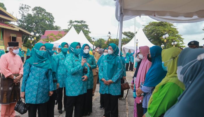 Ketua Umum TP-PKK Resmikan Penyengat Sebagai Pulau Digital