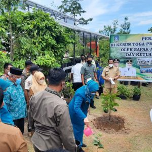 Mendagri Tito Karnavian dan Ketum TP-PKK Tanam Bibit Pohon