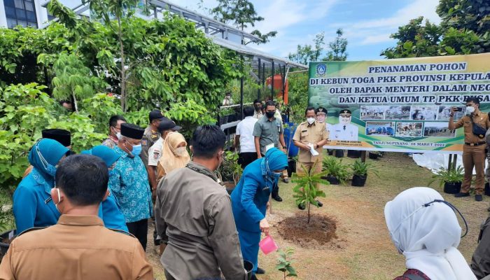 Mendagri Tito Karnavian dan Ketum TP-PKK Tanam Bibit Pohon