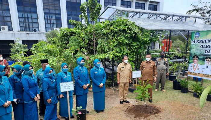 Puncak Peringatan HKG PKK Nasional Ke-50 di Kepri Dihadiri Mendagri Tito Karnavian