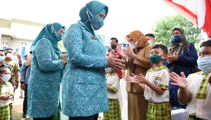 Tri Tito Karnavian Sebut Posyandu Mawar Terbaik Se Indonesia