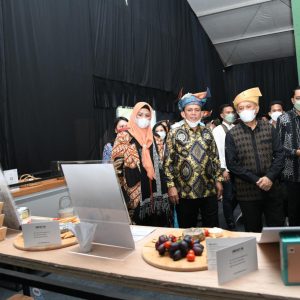 Gubernur Ansar Minta Diskresi Pusat Agar UMKM Kepri  Lebih Kompetitif