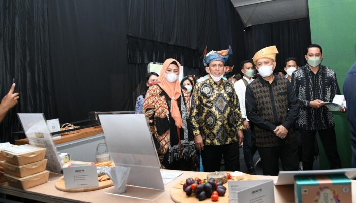 Gubernur Ansar Minta Diskresi Pusat Agar UMKM Kepri  Lebih Kompetitif