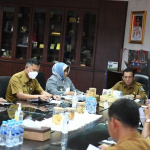 Gubernur Ansar Akan Usulkan Revitalisasi Pasar Baru Tanjungpinang Ke Kementrian PUPR