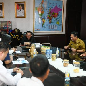 Gubernur Ansar Terima Audiensi Pejabat Baru dan Lama GM PLN WRKR