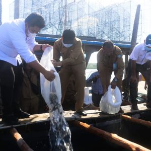 Roby Tabur 4000 Bibit Kerapu Dan Serahkan Bantuan di Desa Numbing