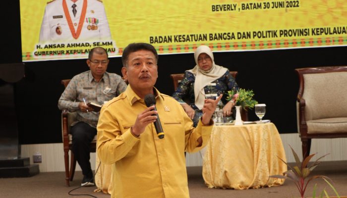 Taba Iskandar: Ormas Memegang Peran Penting Dalam Pembangunan