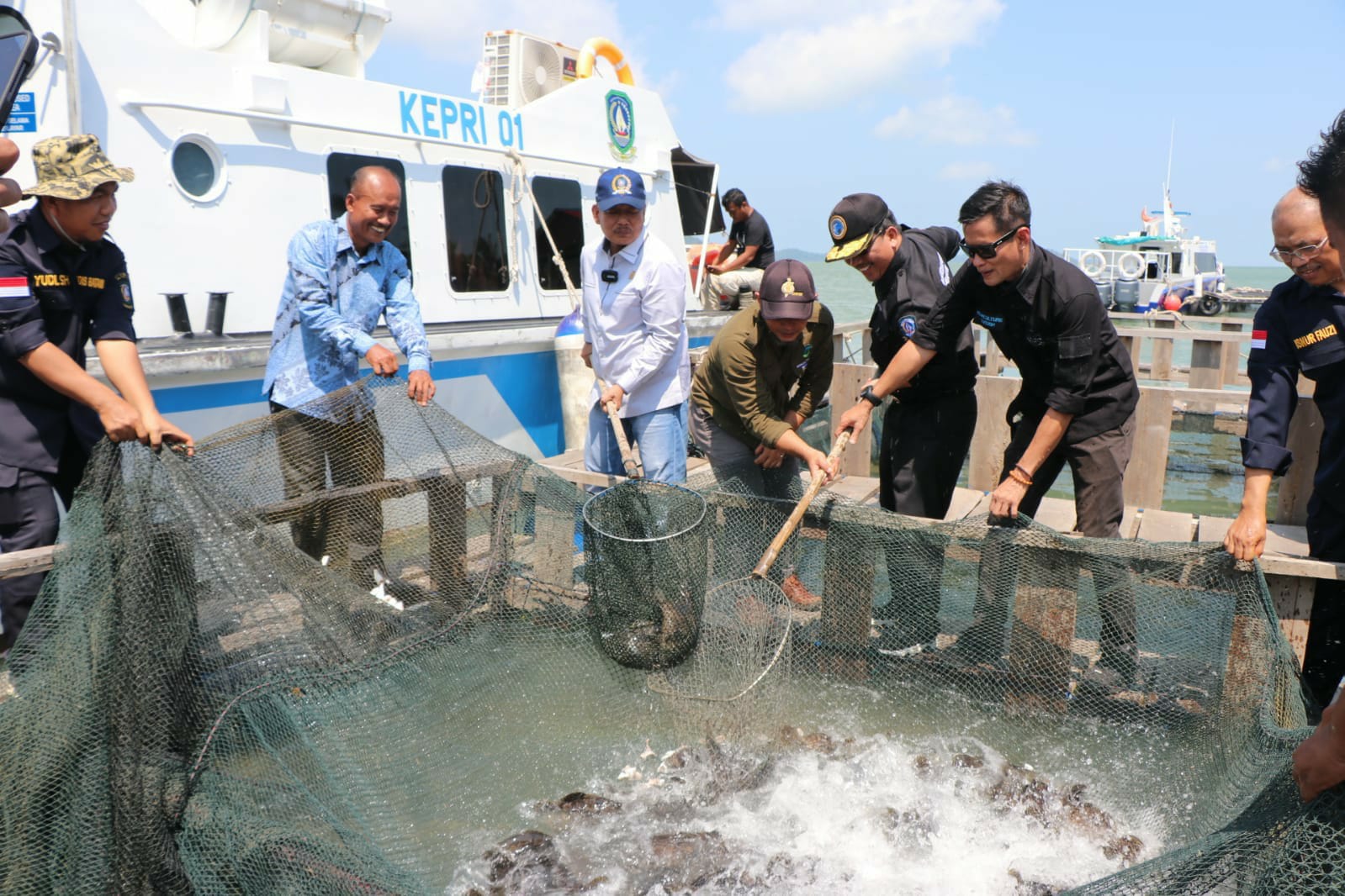Taba Iskandar Wakili Gubernur Ansar Panen Ikan Kerapu Cantang di Pulau Akar