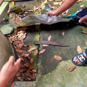 Gara Gara Emosi, Suami Gunakan Parang Bacok Istri