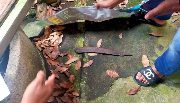 Gara Gara Emosi, Suami Gunakan Parang Bacok Istri