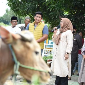 Dewi Ansar Serahkan Hewan Qurban Untuk Masyarakat Pesisir di Bintan 