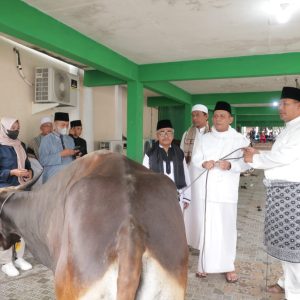 Gubernur Ansar Serahkan Sapi Kurban Dari Presiden RI Untuk Gerbang Utara Perbatasan NKRI