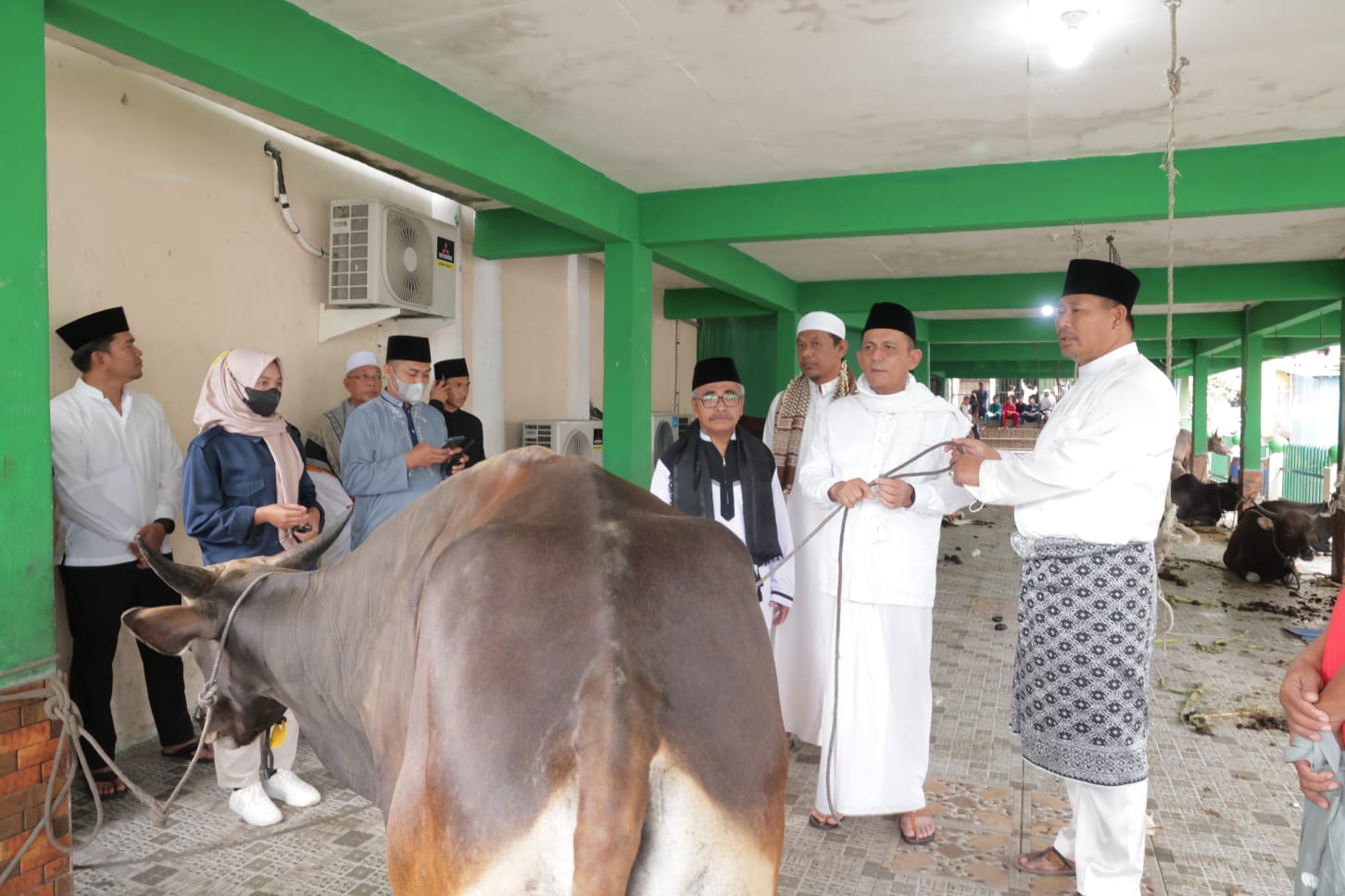 Gubernur Ansar Serahkan Sapi Kurban Dari Presiden RI Untuk Gerbang Utara Perbatasan NKRI