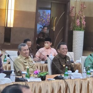 Gubernur Kepri Dukung Konversi BRK Menjadi BRK Syariah