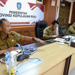 Gesa Realisasi APBD dan Komitmen P3DN, Upaya Gubernur Ansar Capai Peringkat Tertinggi Nasional