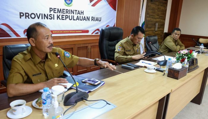 Gesa Realisasi APBD dan Komitmen P3DN, Upaya Gubernur Ansar Capai Peringkat Tertinggi Nasional