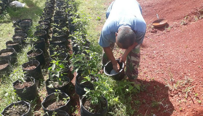 Kodim 0318/ Natuna Manfaatkan Lahan Tidur Jadi Lahan Produktif