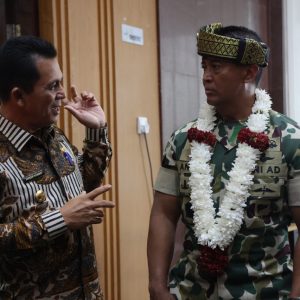 Kunker Di Kepri, Gubernur Ansar Sambut Panglima TNI di Bandara RHF