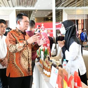 Gubernur Ansar Hadiri Rakerda Dan  Forbisda BPD HIPMI Kepri