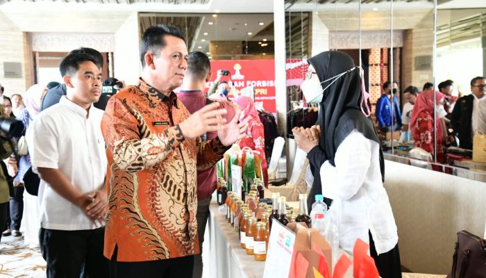 Gubernur Ansar Hadiri Rakerda Dan  Forbisda BPD HIPMI Kepri