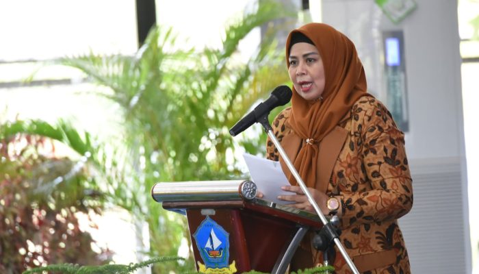 Dewi Ansar Dorong Pelaku UMKM Perempuan di Kepri Naik Kelas 