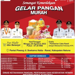 Kendalikan Inflasi di Daerah Perbatasan, Gubernur Ansar Buka Bazar Pangan Murah di Natuna