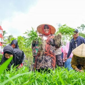 Rahma Bersama Kelompok Wanita Tani Panen Kangkung