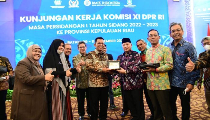Gubernur Kepri Terima Kunker Komisi XI DPR RI