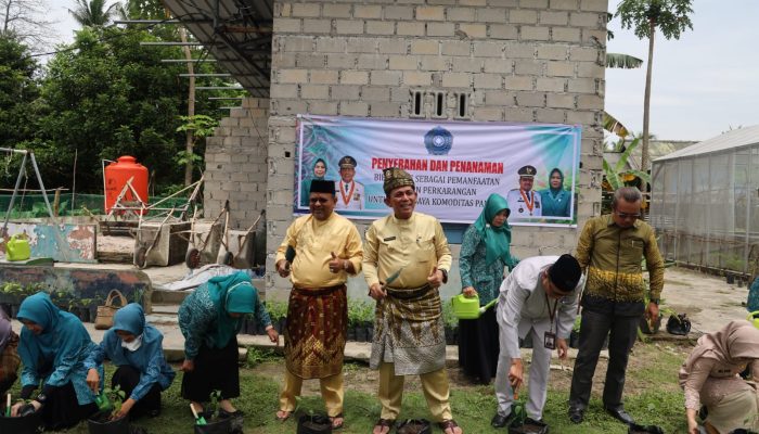 Dukung Urban Farming, Gubernur Ansar Berikan Bibit Cabe Untuk Dasa Wisma Di Karimun