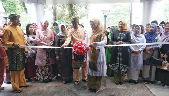 Promosi Produk UMKM Kepri, Dispar Kepri Launching Aplikasi GEMA EKRAF di Festival Dekranasda